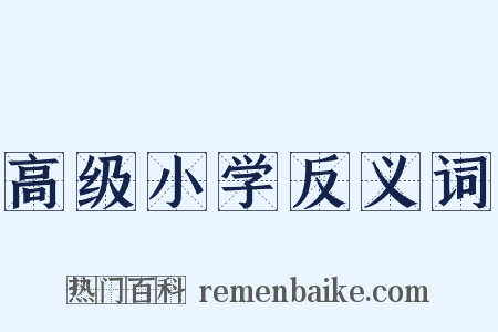 高级小学反义词是什么意思的图片